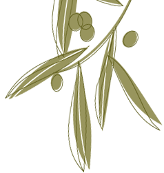 Feuilles d'olivier